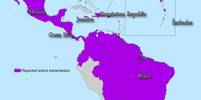Mapa de jamaica zika